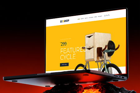 Website Design & Development